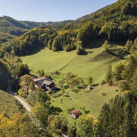 Urlaub Mitten Im Wald - Lueg Scheibbs ภายนอก รูปภาพ