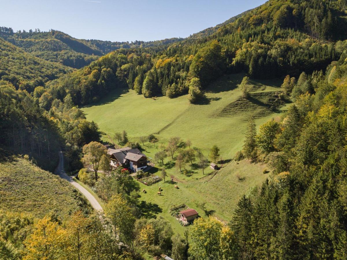 Urlaub Mitten Im Wald - Lueg Scheibbs ภายนอก รูปภาพ