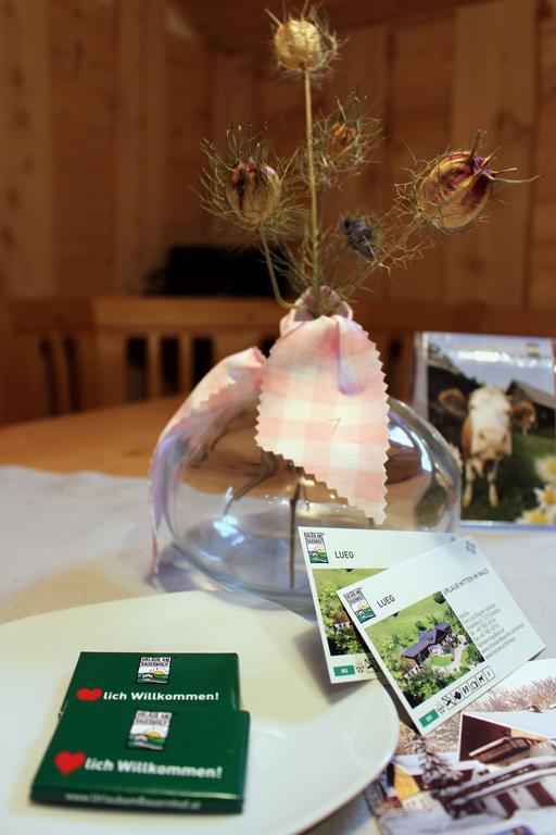 Urlaub Mitten Im Wald - Lueg Scheibbs ภายนอก รูปภาพ
