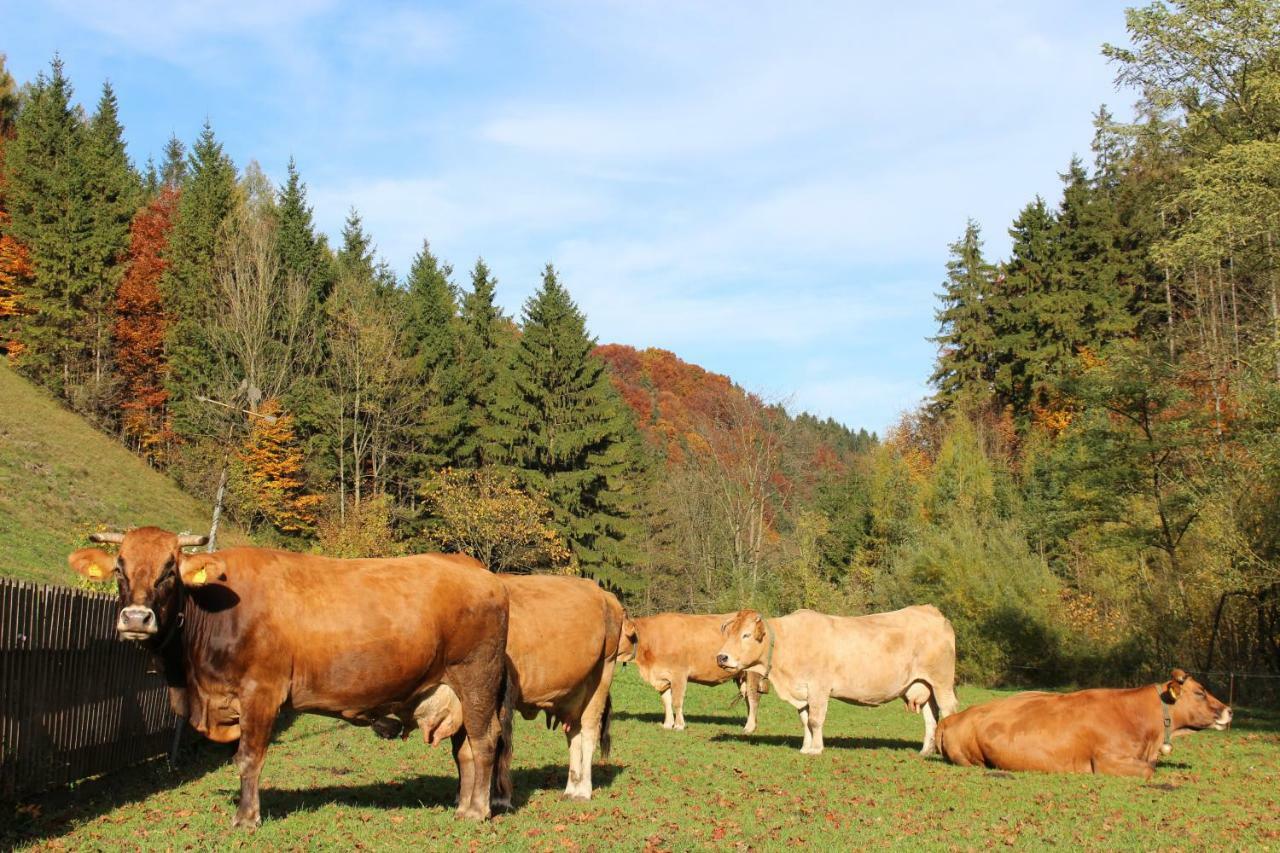 Urlaub Mitten Im Wald - Lueg Scheibbs ภายนอก รูปภาพ