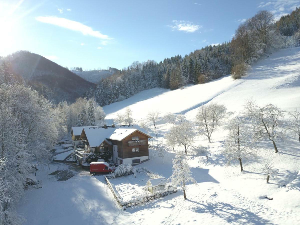 Urlaub Mitten Im Wald - Lueg Scheibbs ภายนอก รูปภาพ