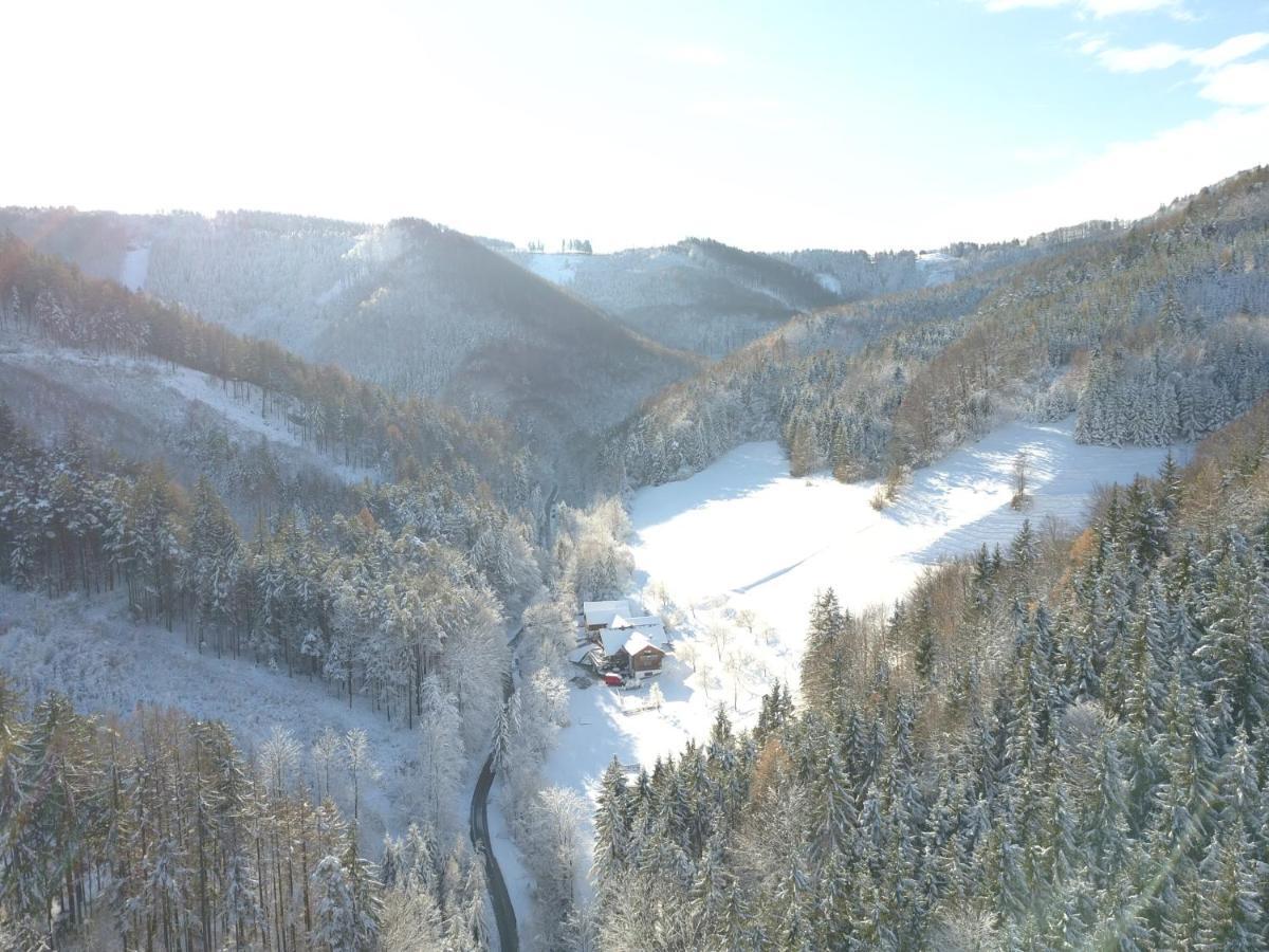 Urlaub Mitten Im Wald - Lueg Scheibbs ภายนอก รูปภาพ