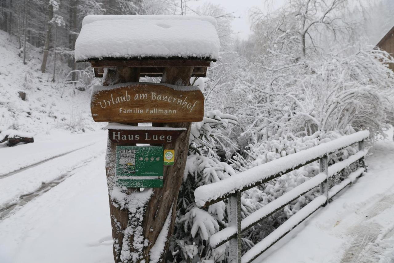 Urlaub Mitten Im Wald - Lueg Scheibbs ภายนอก รูปภาพ
